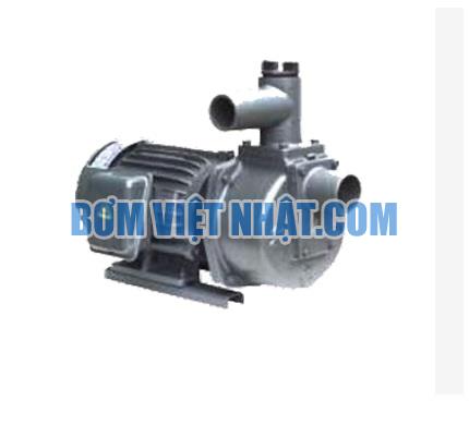 Bơm tự hút đầu gang NTP HSP250-1.75 20