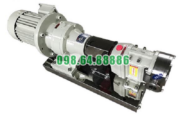 Máy bơm lobe 3RP-80 công suất 11 kW tốc độ quay 500 vòng/phút