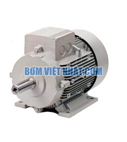 Motor 1 pha tua chậm THT MOTOR 0.75 KW