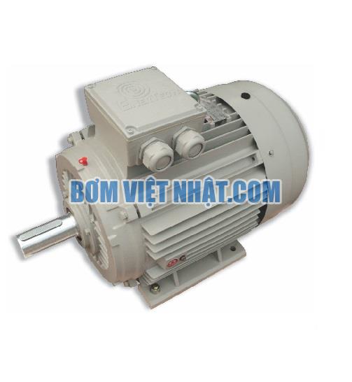 Motor chân đế 1 pha 1 tụ điện Enertech 0.12HP