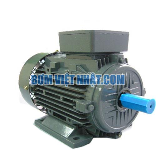 Motor điện chân đế 1 pha Teco 1.5HP