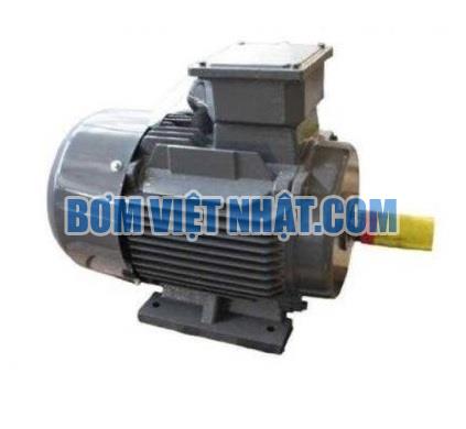 Motor điện chân đế 1 pha Teco 1HP