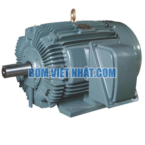 Motor điện chân đế 1 pha Teco 2HP