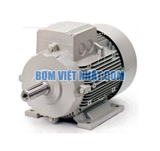 Motor điện chân đế 3 pha Tatung 0.75HP