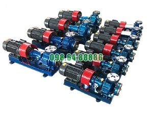 Bơm ly tâm dầu nóng RY100-65-200A cột áp 44 m, công suất 22 kW, lưu lượng 94 m3/h