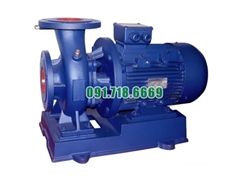 Bơm nước nằm ngang SLW-ISW40-250-I