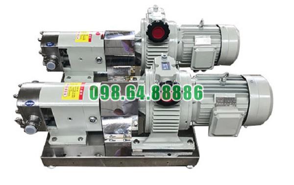 Máy bơm lobe 3RP-5 công suất 1.5kW lưu lượng 3 m3/h đường kính kết nối 25 mm