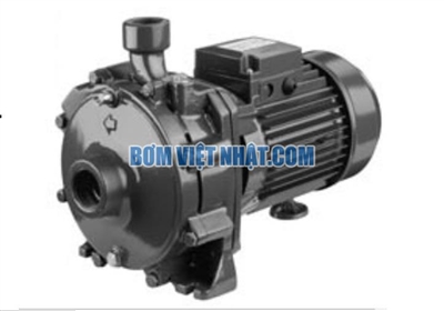 Máy bơm ly tâm trục ngang đầu gang Ebara 3D 32-125/1.1