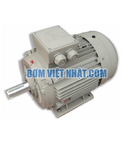 Motor chân đế 1 pha 1 tụ điện Enertech 0.16HP